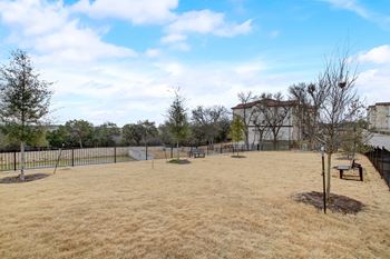 Off-leash dog park